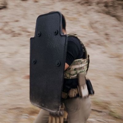 The Delta Large Shield