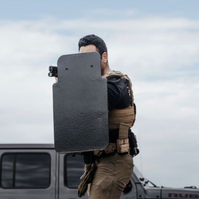 The Alpha Shield